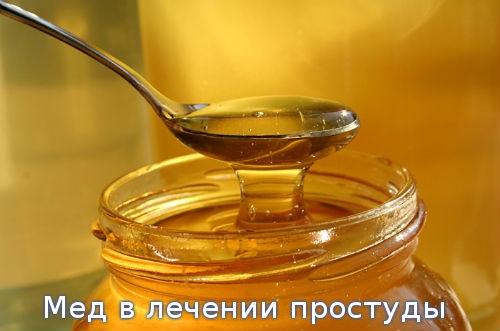 Мед в лечении простуды
